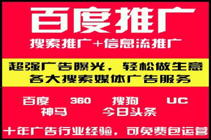 某某SEM团队成功案例：广告投放策略揭秘